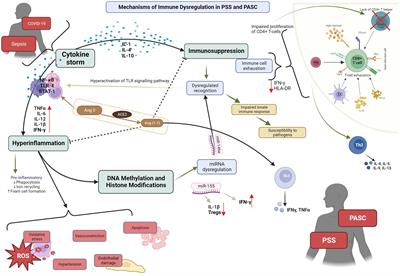 Exploring post-SEPSIS and post-COVID-19 syndromes: crossovers from pathophysiology to therapeutic approach